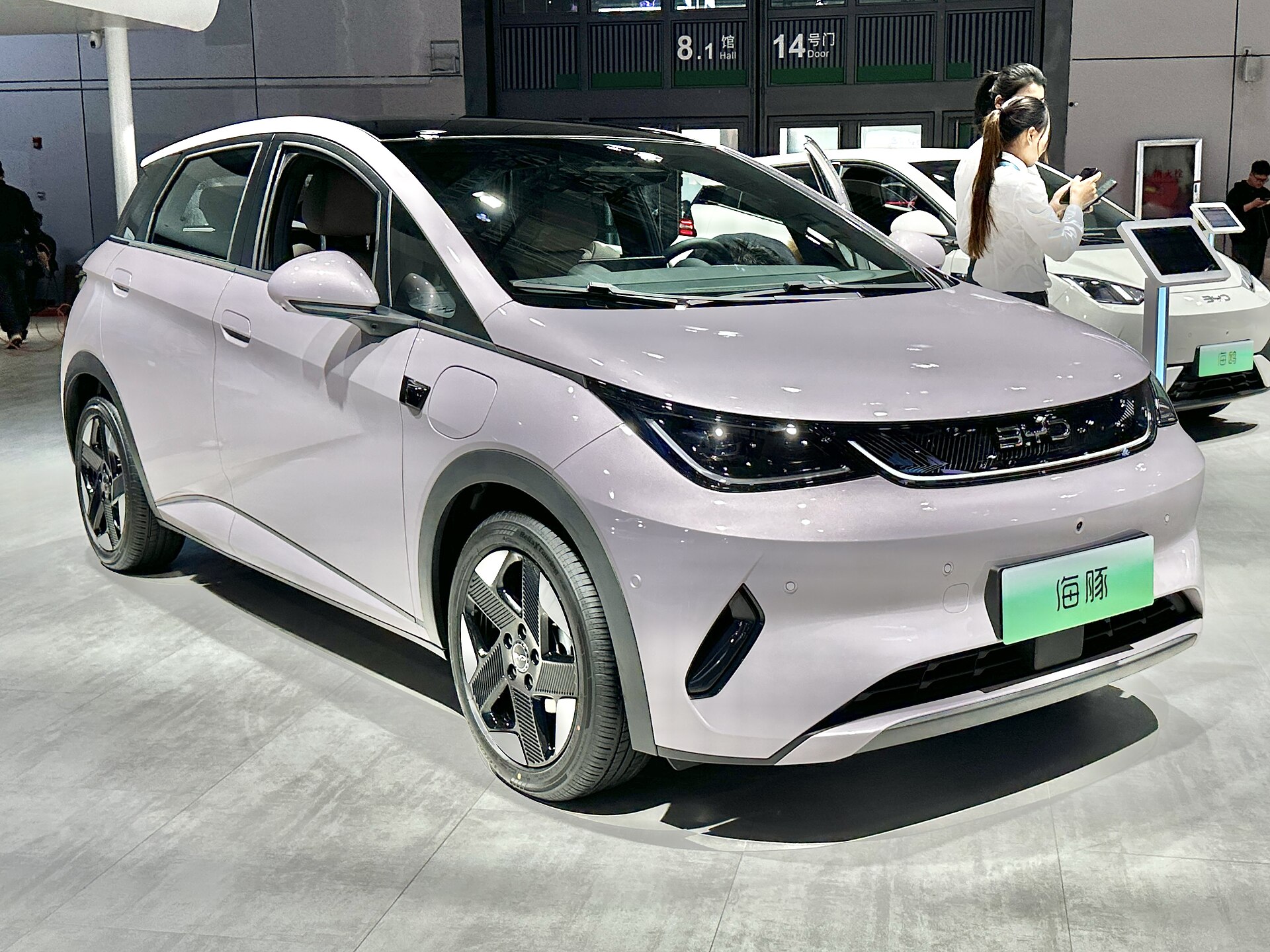 2026 BYD Dolphin Front View