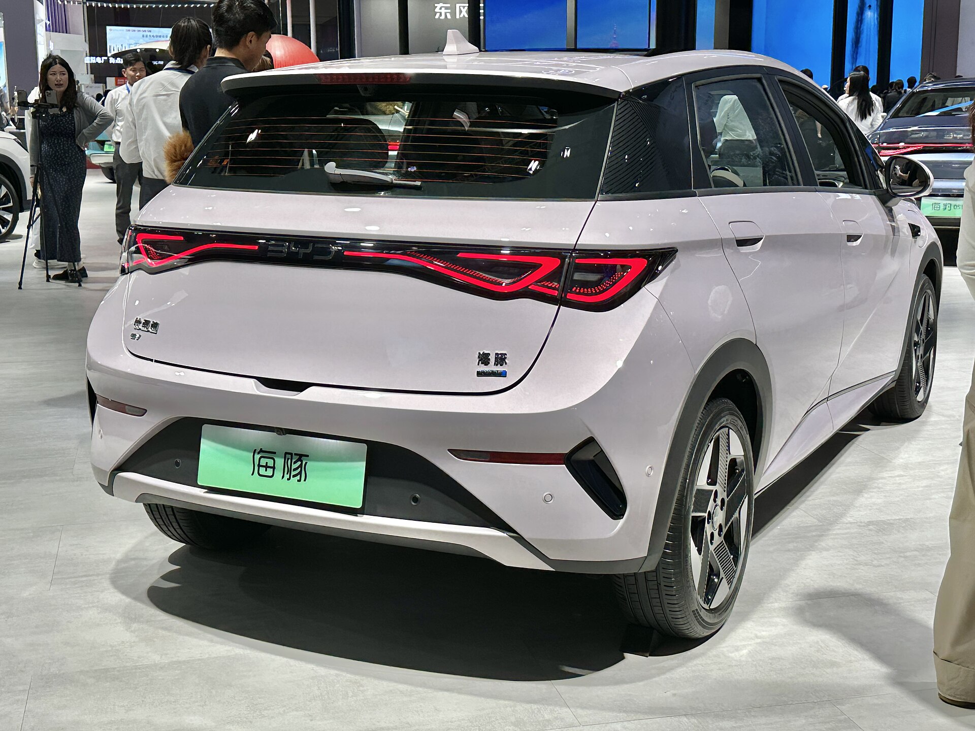 2026 BYD Dolphin Rear View
